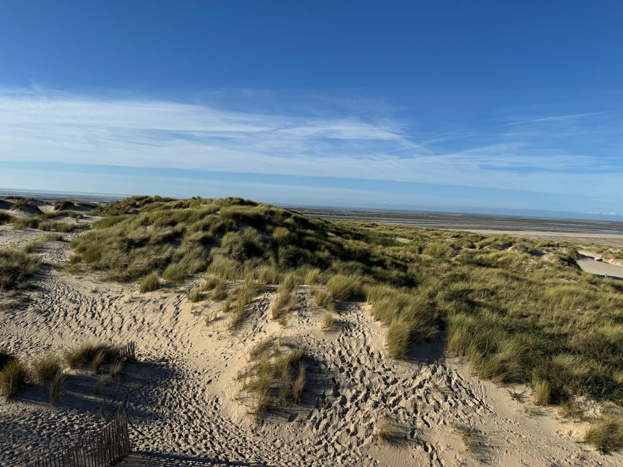 Le Touquet - Superbe Appartement 3 Chambres - Proche Mer & Centre - Wifi Buitenkant foto